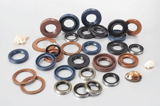 機(jī)械油封與氟膠密封圈的全面解析 生產(chǎn)廠家與價格指南